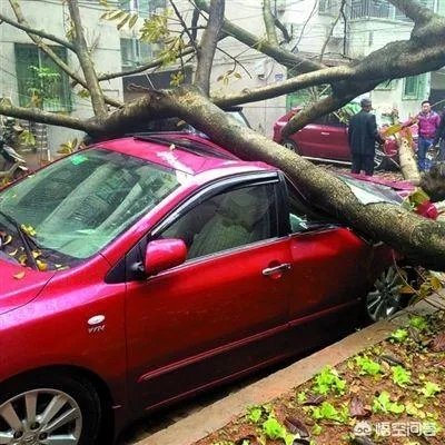 哪种车险比较好?