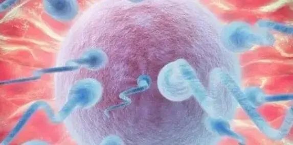 南宁供卵试管-广西医科大学附属第一医院有卵子银行吗？影响供卵试管4大因素