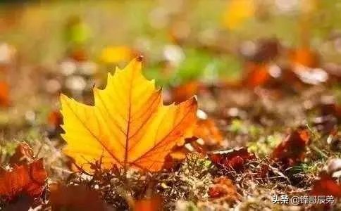 婴儿早教儿歌有哪些？