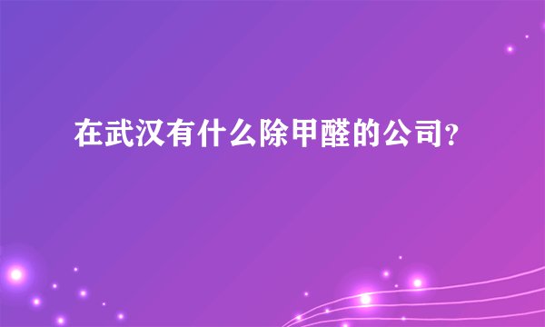 在武汉有什么除甲醛的公司？