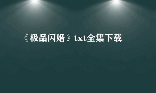 《极品闪婚》txt全集下载