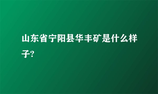 山东省宁阳县华丰矿是什么样子?
