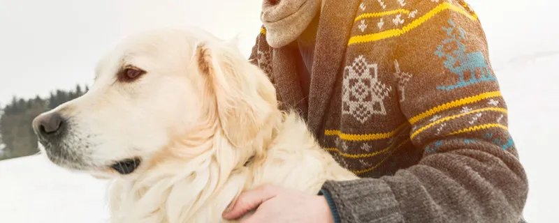 羊毛衫怎么洗 羊毛衫清洗方式