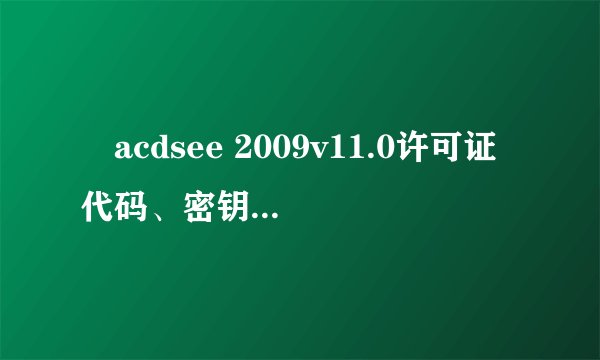 ​acdsee 2009v11.0许可证代码、密钥使用方法