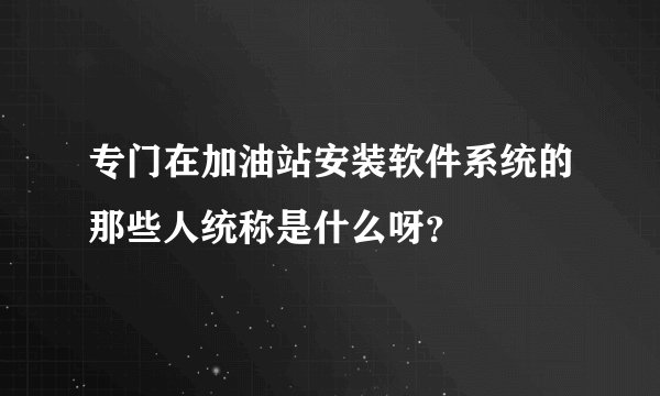 专门在加油站安装软件系统的那些人统称是什么呀？