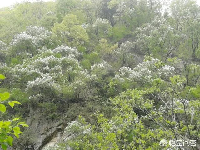 秦岭72峪最值得去的几个