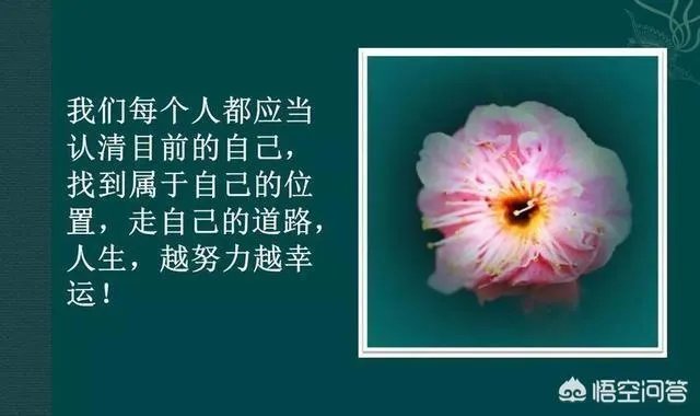 年年大丰收，下联怎么对？