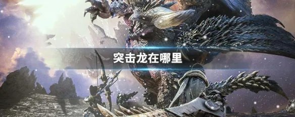 突击龙在哪里