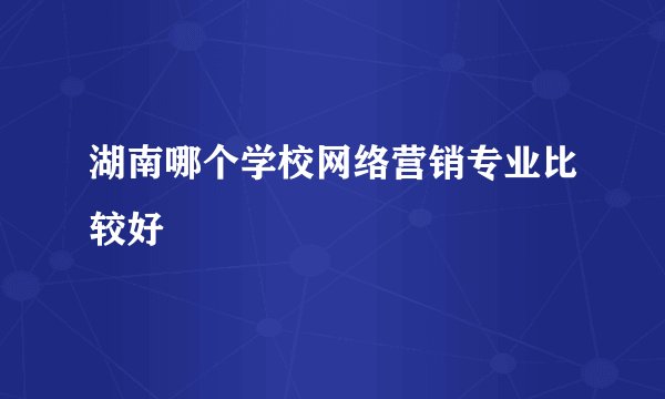 湖南哪个学校网络营销专业比较好