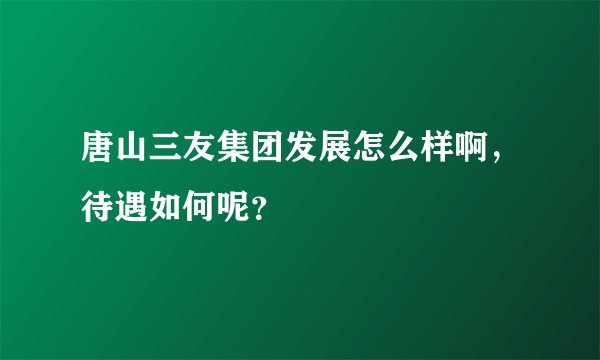 唐山三友集团发展怎么样啊，待遇如何呢？