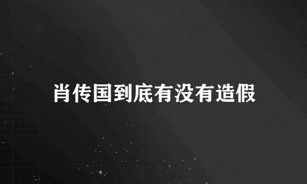 肖传国到底有没有造假