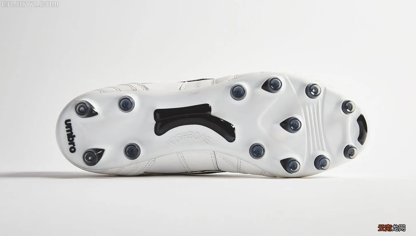 specialized闪电官网 specialized自行车