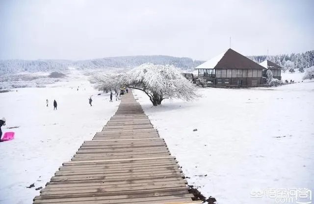 重庆武隆仙女山好玩吗？
