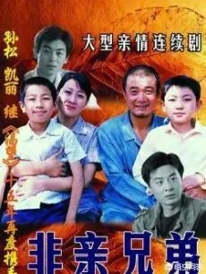 朱亚文主演的电视剧有哪些？