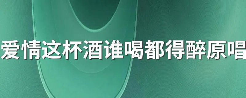 爱情这杯酒谁喝都得醉原唱 歌词是什么