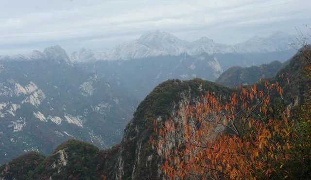 秦岭72峪最值得去的几个