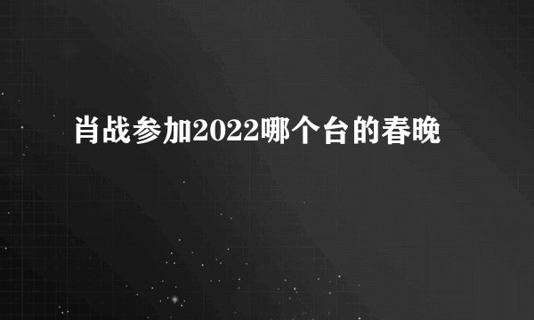 肖战参加2022哪个台的春晚