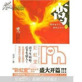 鸾我的前半生我的后半生讲的什么