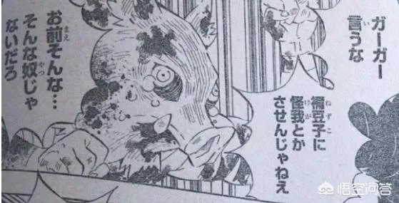 鬼灭之刃202话情报说了什么，炭之郎变回人了吗？