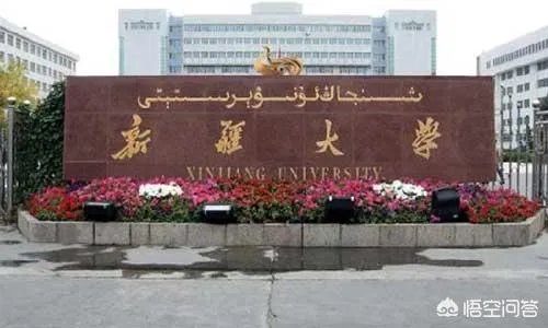 进入世界一流大学建设高校的非985学校有哪些？