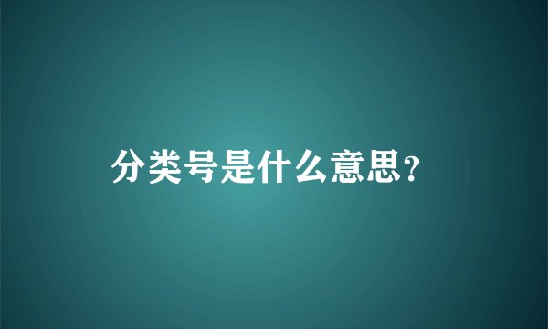 分类号是什么意思？