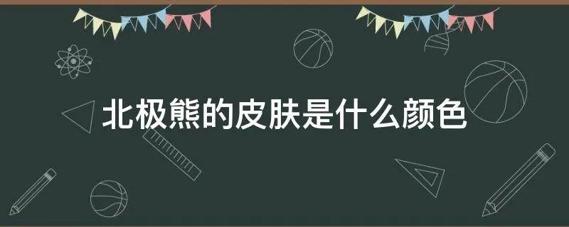 北极熊的皮肤是什么颜色