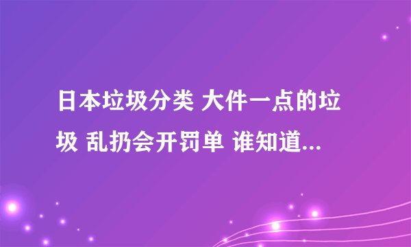 日本垃圾分类 大件一点的垃圾 乱扔会开罚单 谁知道这件垃圾是谁的 开张罚单给谁看