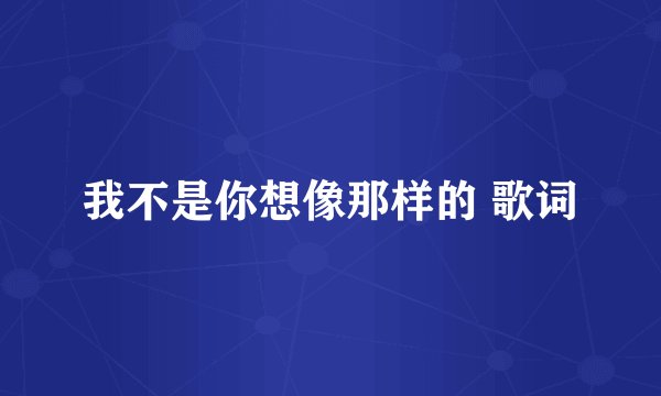 我不是你想像那样的 歌词