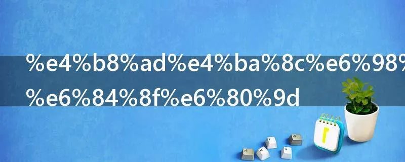 中二是什么意思