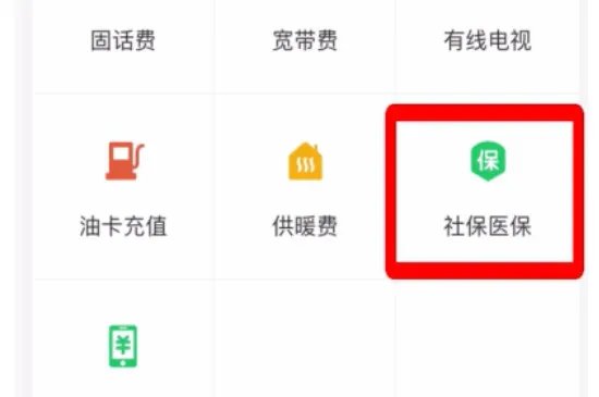 网上怎么交农村合作医疗保险