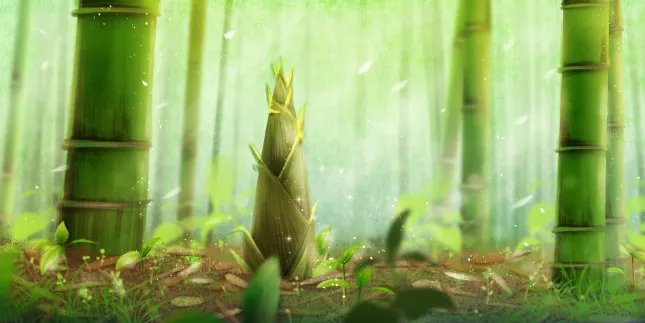 2021年立春是哪一天 2021年什么时候立春几点几分