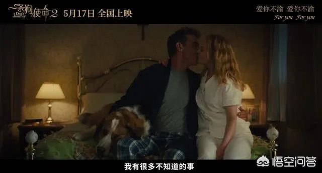 如何评价电影《一条狗的使命2》？