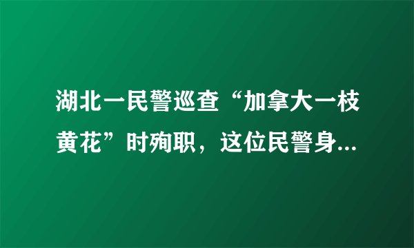 湖北一民警巡查“加拿大一枝黄花”时殉职，这位民警身上有哪些优秀的品质？