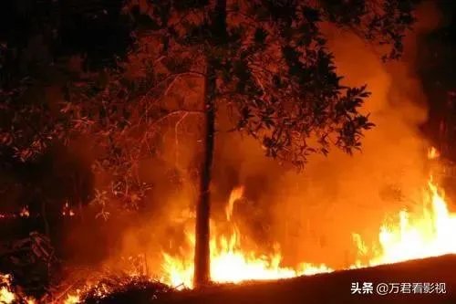 澳大利亚火灾几个月