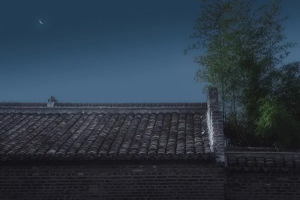 霜树尽空枝 肠断丁长结的意思 霜树尽空枝 肠断丁长结的意思是什么