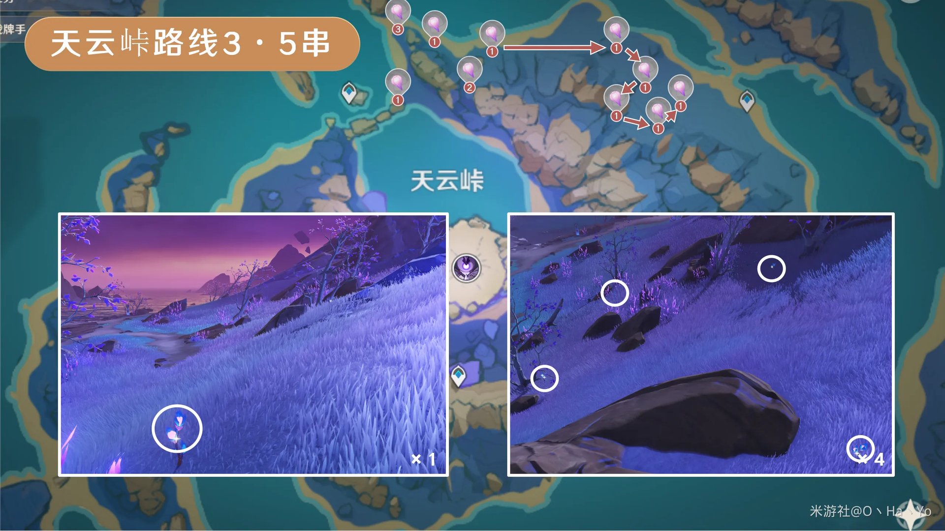 原神天云草实采集路线2024