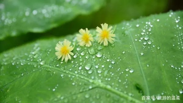 在农村立秋当天，最忌讳什么？