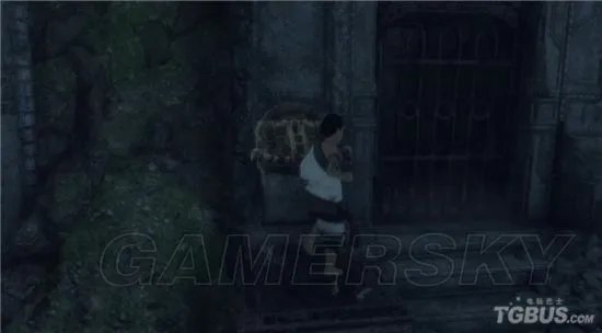 《最后的守护者》图文攻略 全章节图文流程攻略