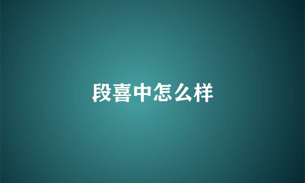 段喜中怎么样