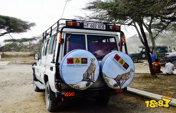 小鸡宝宝考考你 以下哪种动物属于猴科动物