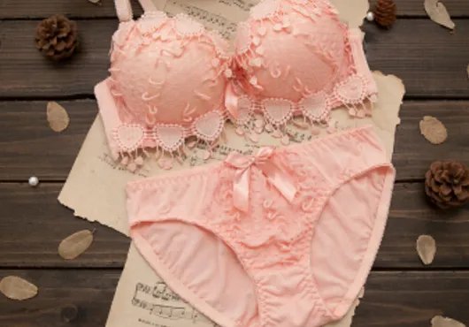 十大品牌内衣有哪些？