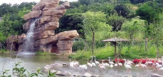 宁波的雅戈尔动物园好玩吗？