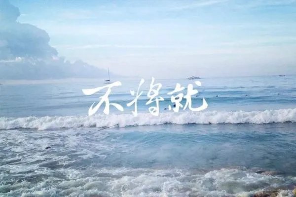 将就的近义词成语