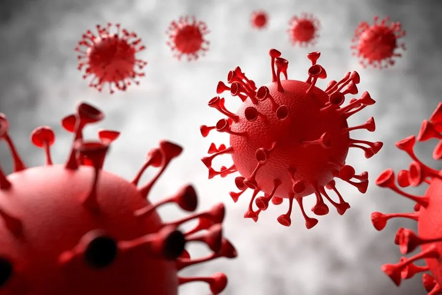 新冠感染过去了没有