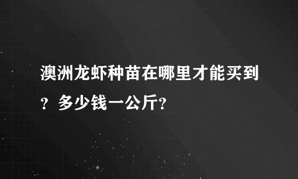 澳洲龙虾种苗在哪里才能买到？多少钱一公斤？
