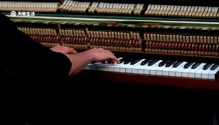 钢琴的黑白键宽度一样吗