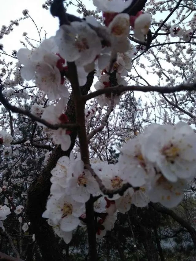 写一句你最中意的诗词歌赋吧？