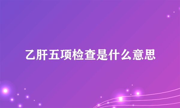 乙肝五项检查是什么意思