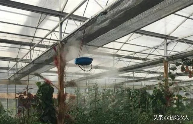 食用菌从种植到加工需要用到什么设备?