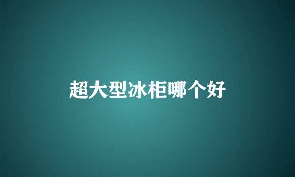 超大型冰柜哪个好